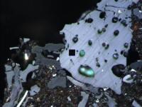 Image of Vitrinite from QDI CoalPro System Image of Vitrinite from QDI CoalPro System