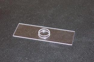 CRAIC Technologies quartz slides & wellslides