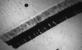 three layer automotive paint chip.gif