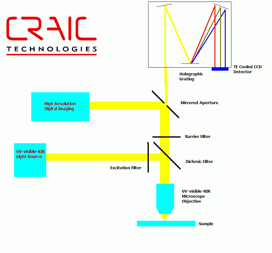 microfluorometer